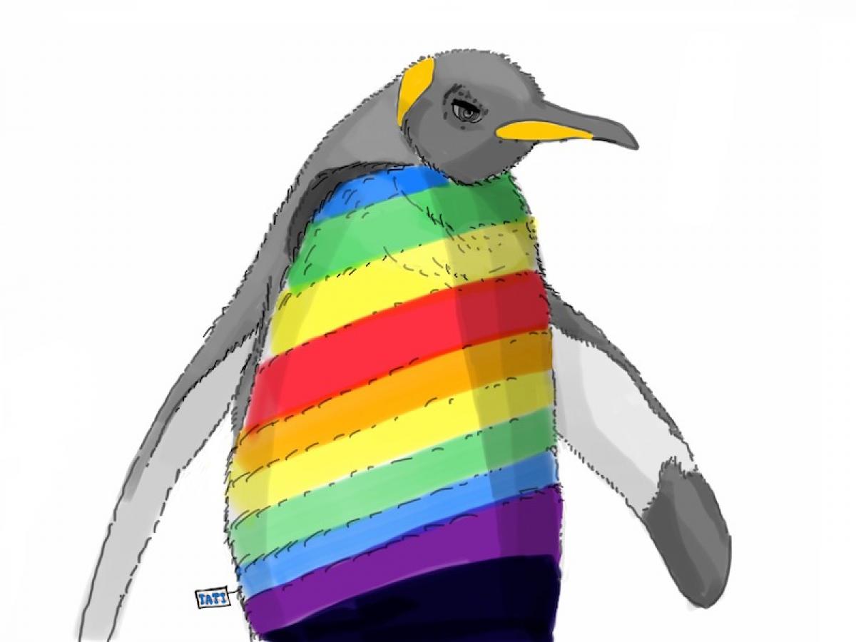 Pingouin arc en ciel