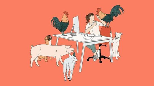 table femme animaux travail